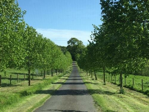 Hostal Worralls Grove Farm House Bed & Breakfast