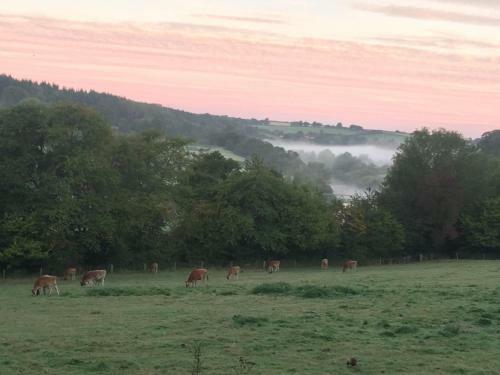 Hostal Worralls Grove Farm House Bed & Breakfast
