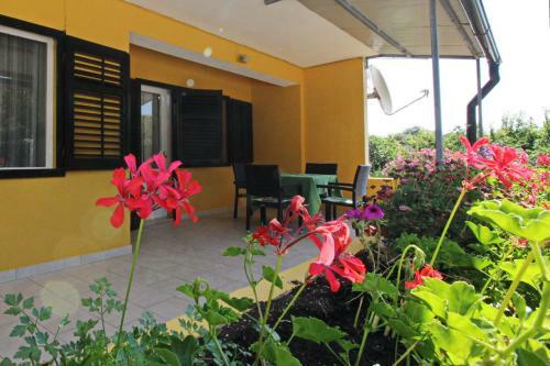 Apartments Grozdana 2 - Pescivica