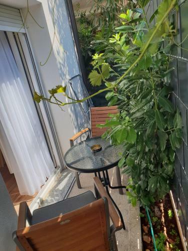 Apartmani Kameno Sidro