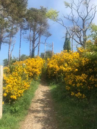 Apartamento Dublin South / Bray, Brilliant Location!!