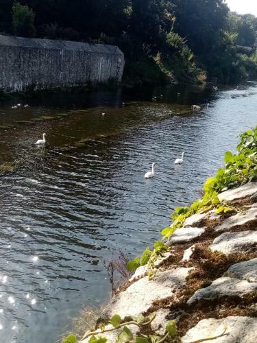 Apartamento Dublin South / Bray, Brilliant Location!!