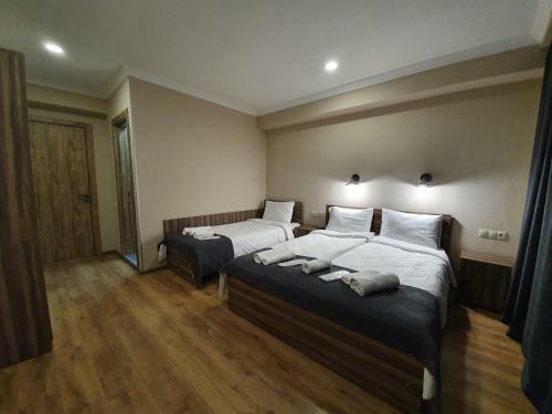 Hotel Gold Kazbegi