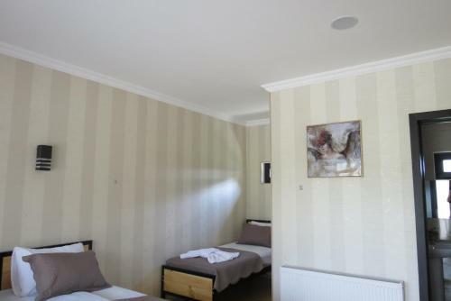 Hostal Bibos Kokhi