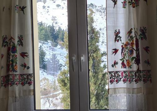 ''prasini Folia'' Apartments -great Terrace And View