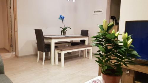 Noemi Jurmala Apartment