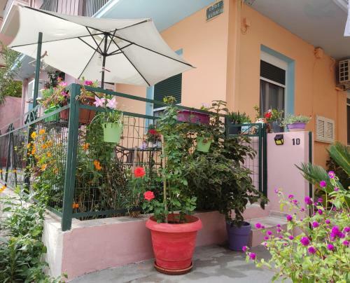 Napier Apartment