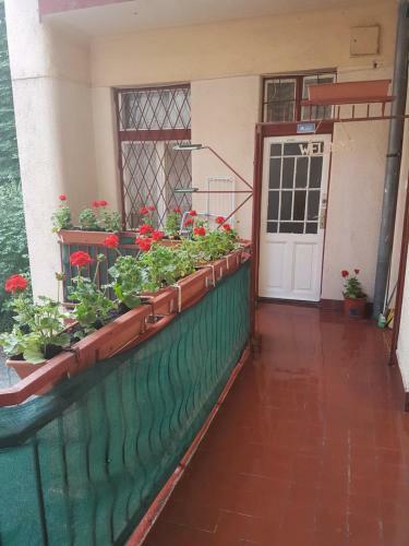 Hostal Valentina Guesthouse