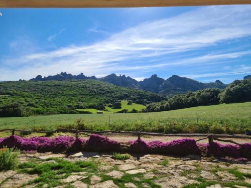 Agroturismo Agriturismo La Cresta