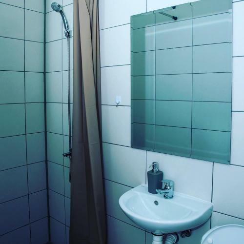 Stari Zaje?ar Apartments