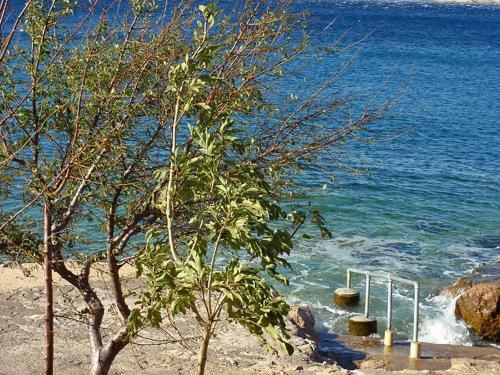 Apartamentos Beautiful House Direct On Beach With Pool