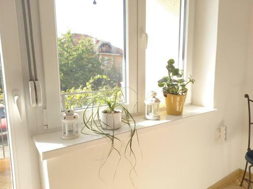 Apartman Sti?anka
