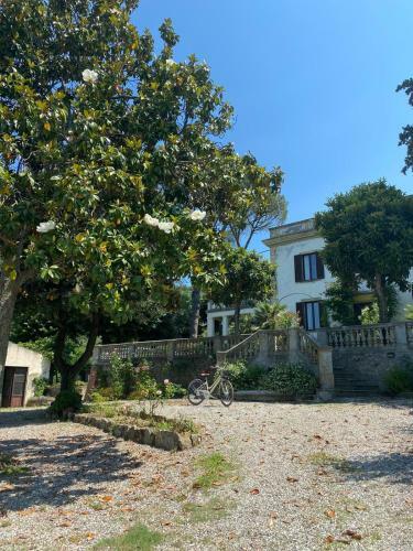 Villa Lya