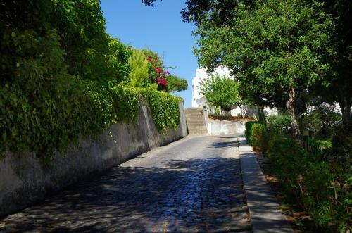 Apartamento Holidays Albufeira - F�rias de Sonho