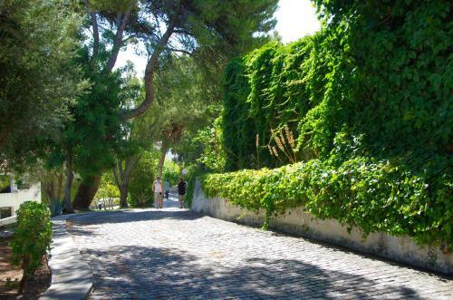 Apartamento Holidays Albufeira - F�rias de Sonho