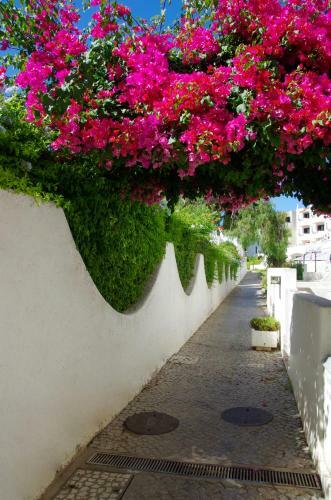 Apartamento Holidays Albufeira - F�rias de Sonho