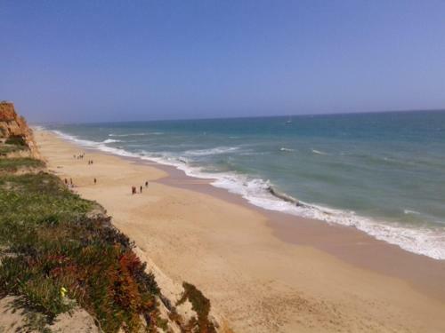 Apartamento Praia Da Fal�sia
