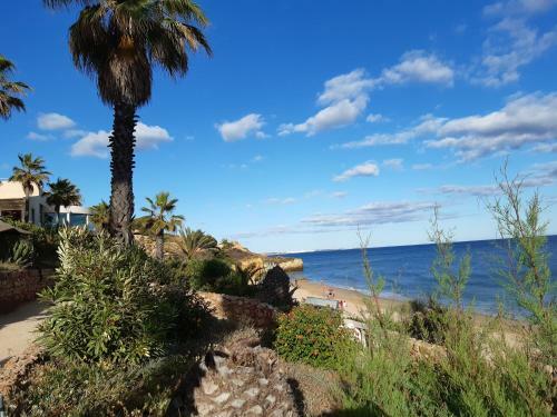 Apartamento Balaia Golf Village 1 Chambre