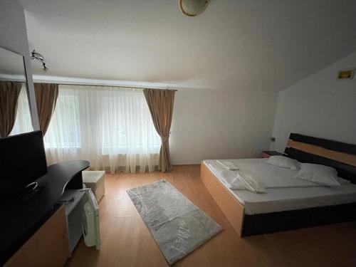Hostal Pensiunea Izvoare Olanesti 3***