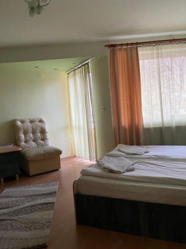 Hostal Pensiunea Izvoare Olanesti 3***