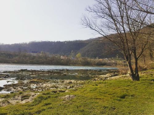 Drina's Heart