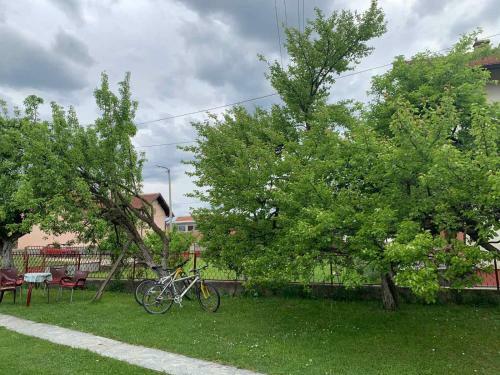 Apartamento Idila