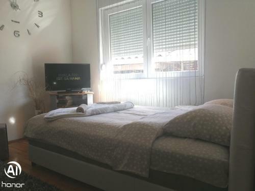 Apartments Ivanovic Bb