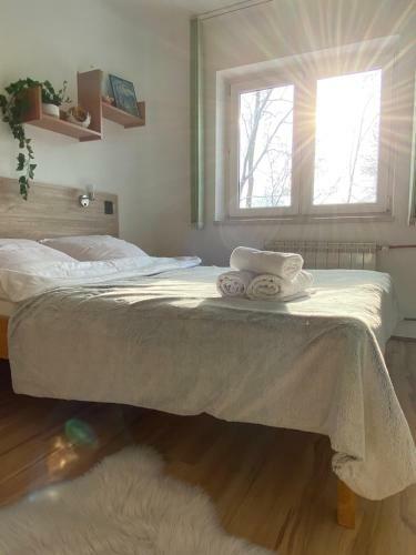 Bed & Breakfast Pokoje Go?cinne Pod Jaworem