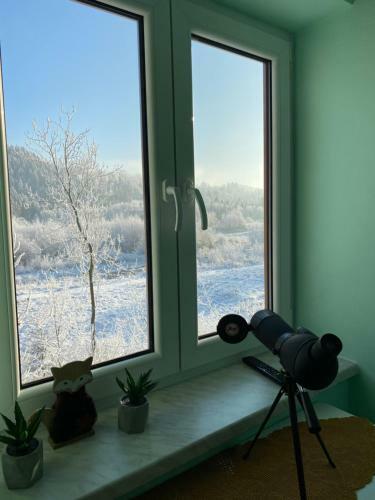 Bed & Breakfast Pokoje Go?cinne Pod Jaworem