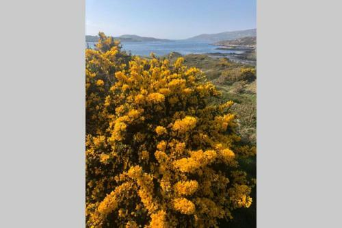 Spacious Seaside Apartment 3km From Clifden