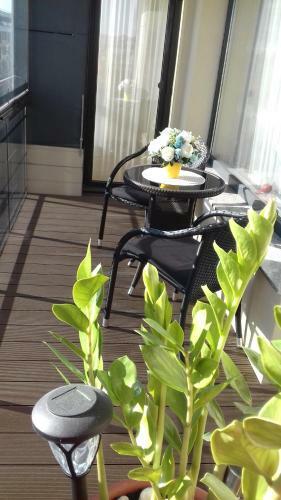 Gandrali?k?s Apartamentai