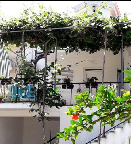 Kiwi Apartments Budva