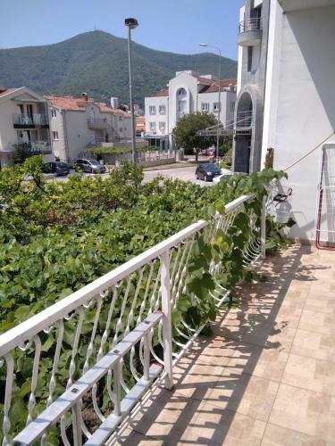 Kiwi Apartments Budva