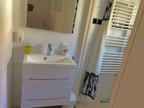 Apartamento Atelieronwater # De Zwaan