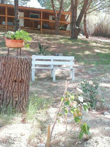 Agroturismo Quinta Do Meco - Beach & Nature