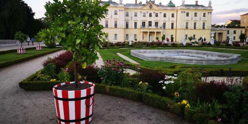 Apartament W Kamienicy