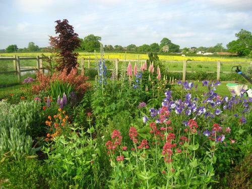Bed & Breakfast Eastbrook Cottage