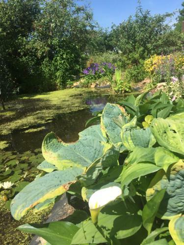 Bed & Breakfast Watergardens