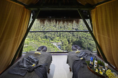 Hotel Kupu Kupu Barong Villas & Tree Spa
