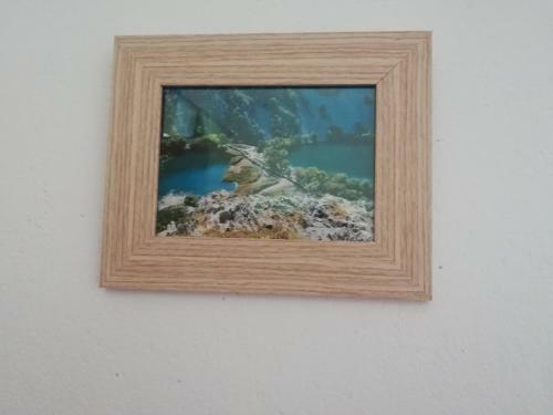 Apartman Volarevic