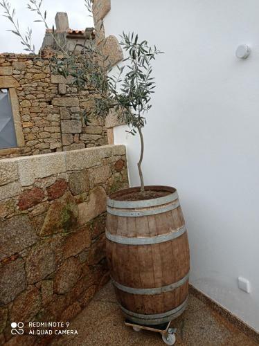 Casas Do Torre�o 3 Casas de Alojamento Local