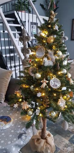 Apartman Okamih Bansk� ?tiavnica