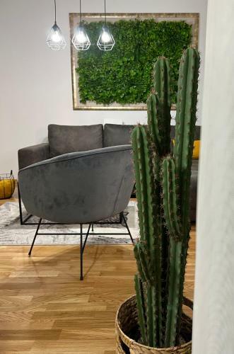 Jungle Lux Apartment