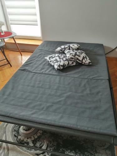 Apartman Red Wall