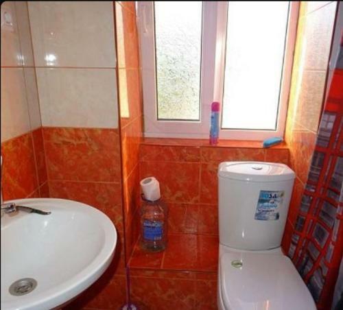 Hostal White House