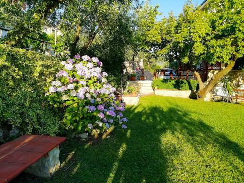 B&B Maison Villa Vittorio