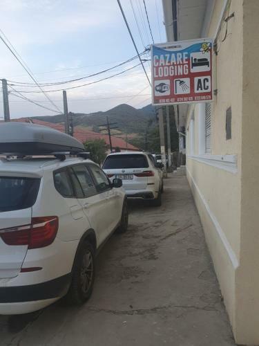 Hostal Albina Dunareana