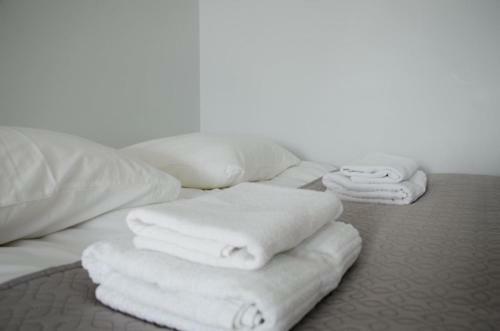 Vytautas Park Apartment