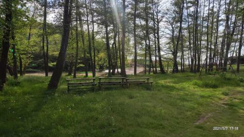 Sea Camp