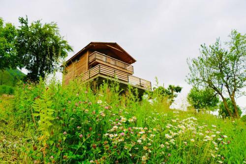 Villa Dabderr Mestia